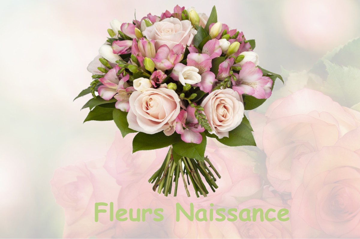 fleurs naissance NOTRE-DAME-DE-MESAGE