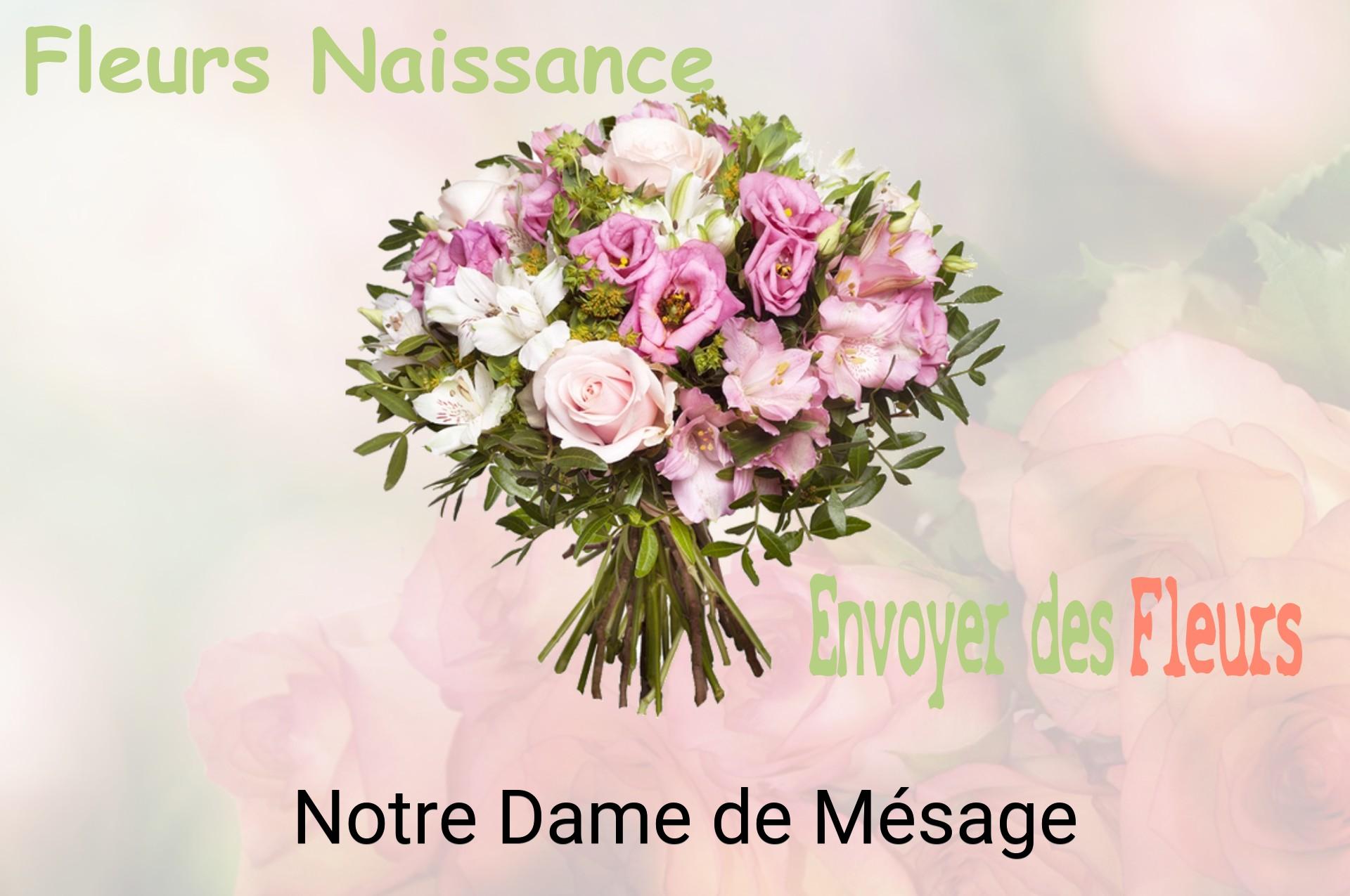 Bouquet de fleurs de naissance livré à Notre-Dame-de-Mésage