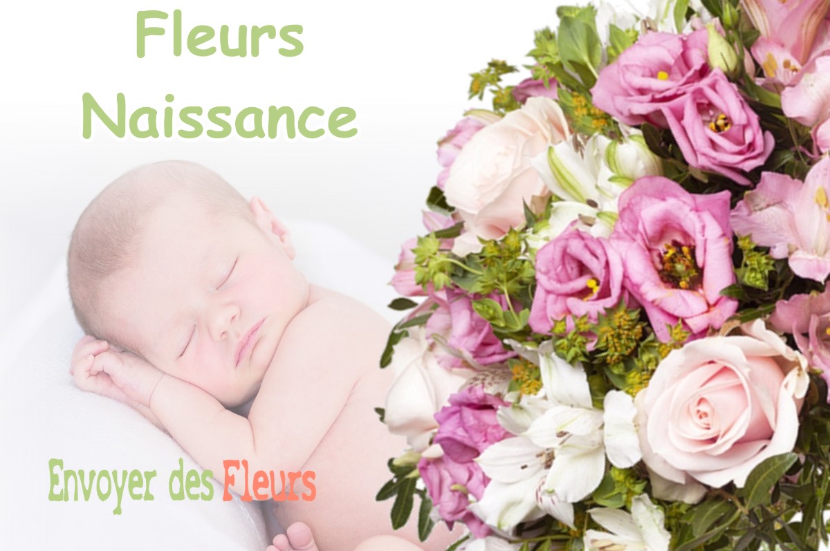 lIVRAISON FLEURS NAISSANCE à NOTRE-DAME-DE-MESAGE